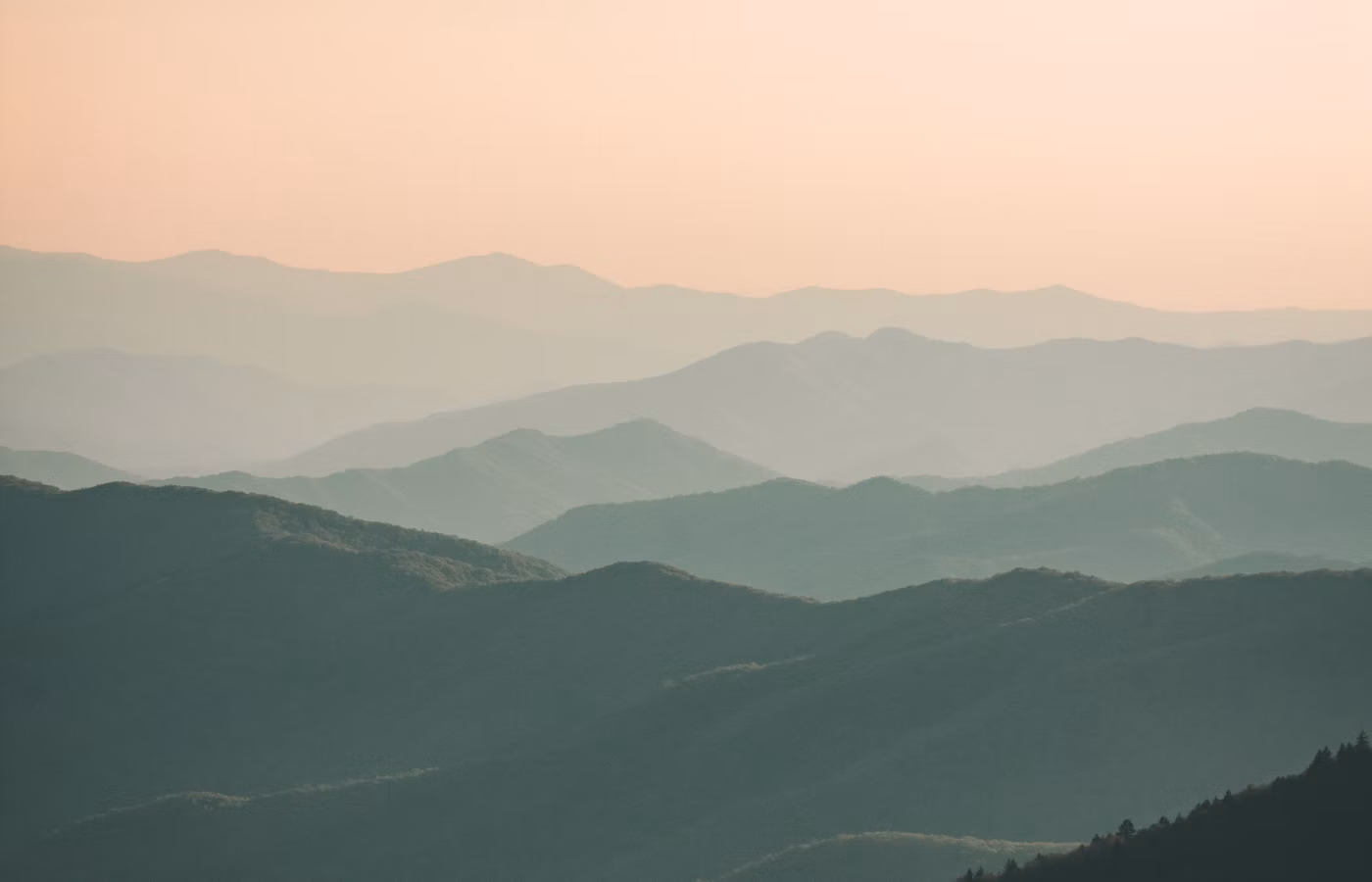 Индекс жизни для творческого профессионала